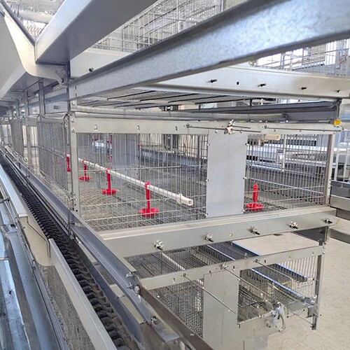 层叠式养鸡设备鹌鹑养殖笼具立式H型全自动蛋鸡笼四层清粪鸽子笼