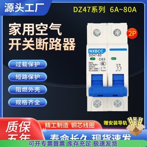 空气开关100A小型断路器DZ47-63A空开家用保护器1P2P3P4P125A正品