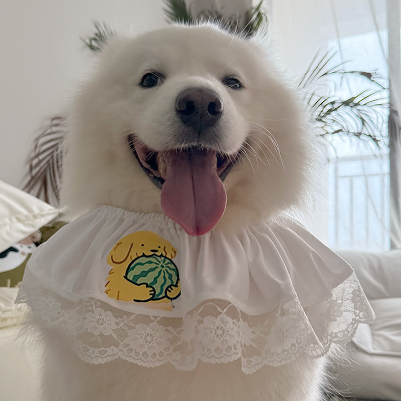 狗狗宠物新款口水可爱围嘴大型犬萨摩耶围脖围巾新款金毛宠物围兜