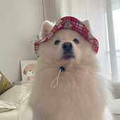 新款 宠物狗狗太阳帽装 饰大中小型犬阿拉斯加帽ins风迷你帽子