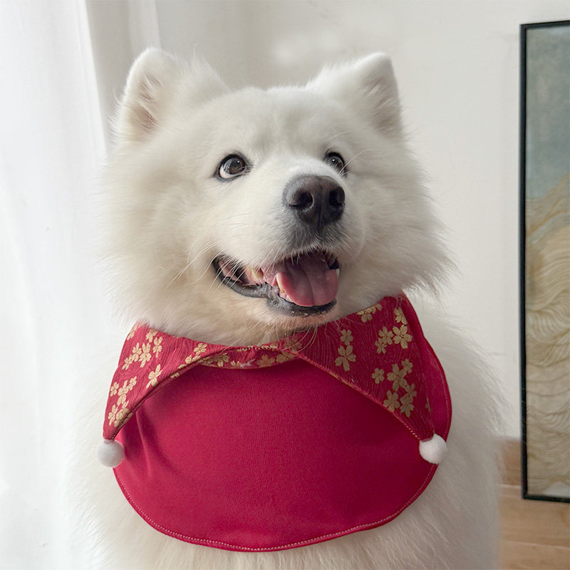 2026新年小中大型犬围兜边牧金毛阿拉斯加口水巾宠物喜庆拜年装饰,宠物/宠物食品及用品,围巾/口水巾,淘宝优惠券,粉丝福利购,淘宝优惠卷