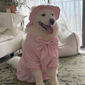 宠物狗狗新款 衣服裙子大中小型犬萨摩耶哈士奇拉布拉多拍摄裙子