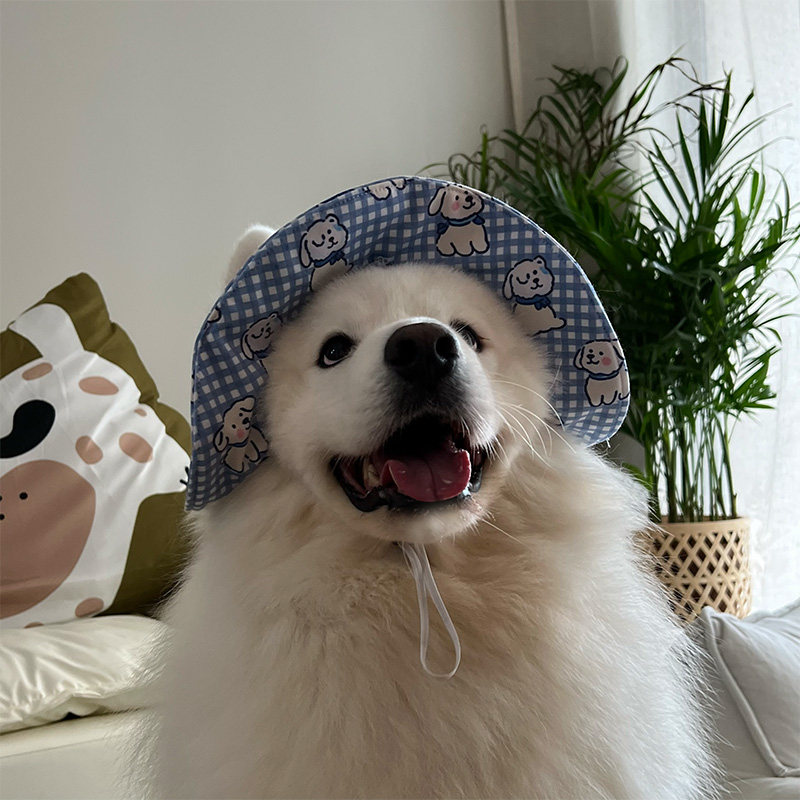 春夏薄款拉布拉多狗狗宠物狗帽子太阳帽金毛萨摩耶边牧大型犬