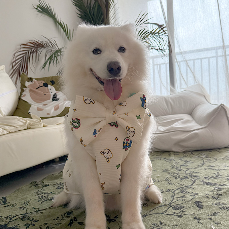 2025春夏季宠物狗狗新款衣服大中小型犬萨摩耶拉布拉多拍摄裙子