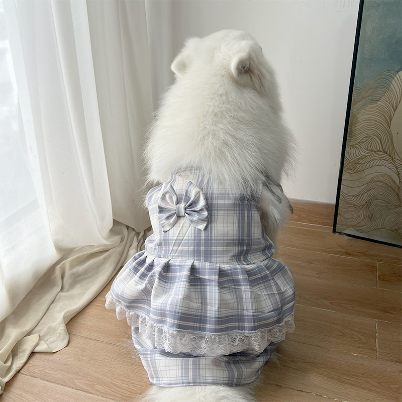 2025新款宠物狗狗衣服裙子萨摩耶拉布拉多边牧小中大型犬宠物衣服