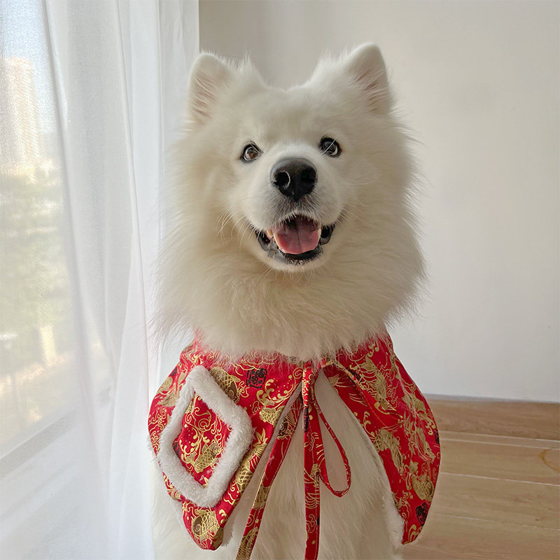 耶耶的拜年服狗狗过年围脖狗狗口水巾中大型犬萨摩新年围兜装饰品