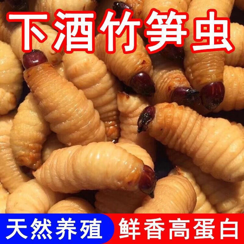 可食用昆虫竹虫鲜活虫子可食用椰子竹笋食用昆虫新鲜竹子速冻冰冻