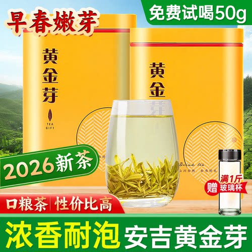 黄金芽2026明前新茶嫩芽浓香耐泡