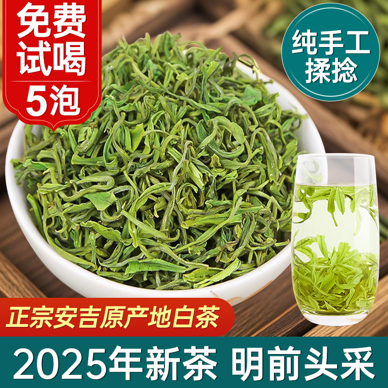 安吉手工白茶自己喝明前头采嫩芽