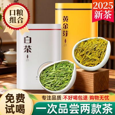 茶叶白茶黄金芽新茶一级罐装组合