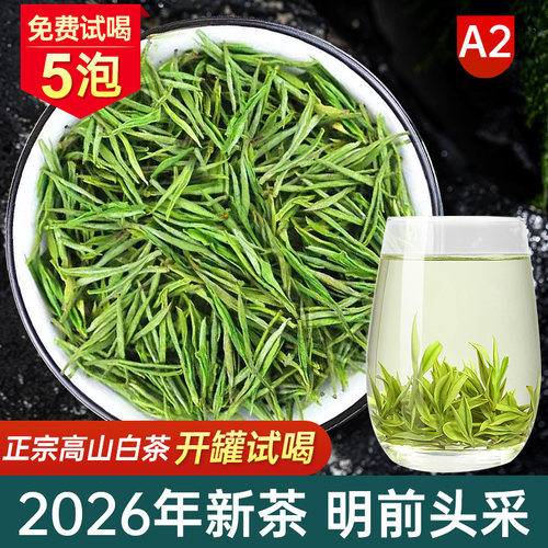 正宗安吉高山白茶绿茶2026年新茶