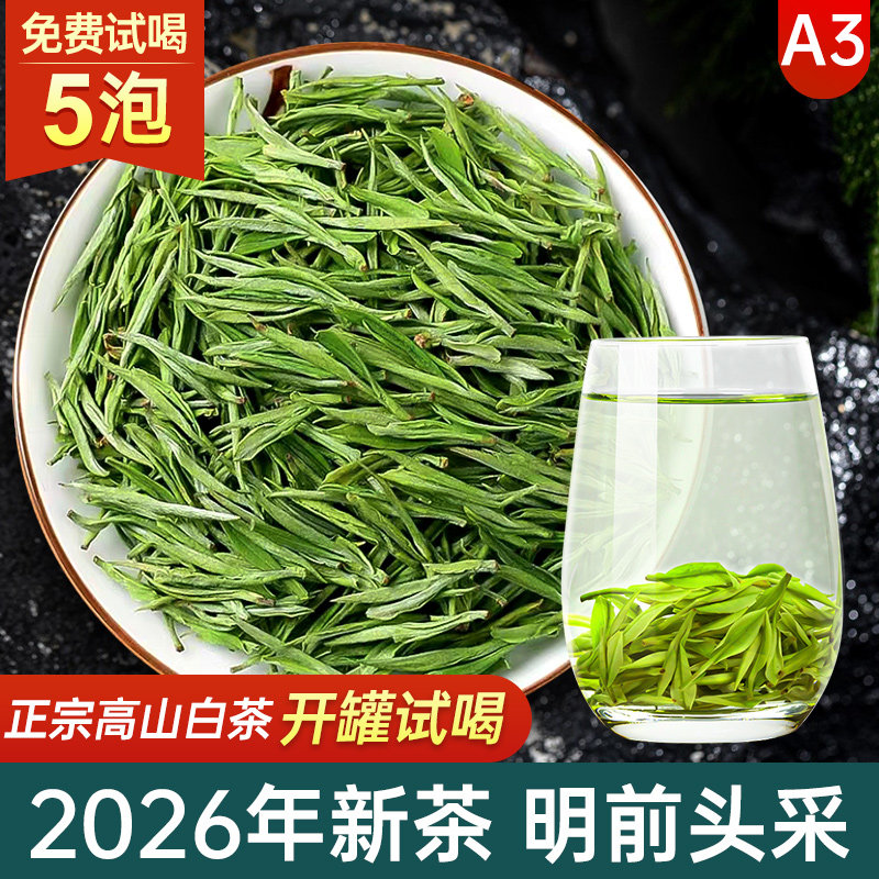 2026年新茶 茶叶自己喝高山白茶A3绿茶 明前特级浙江特色产区绿茶
