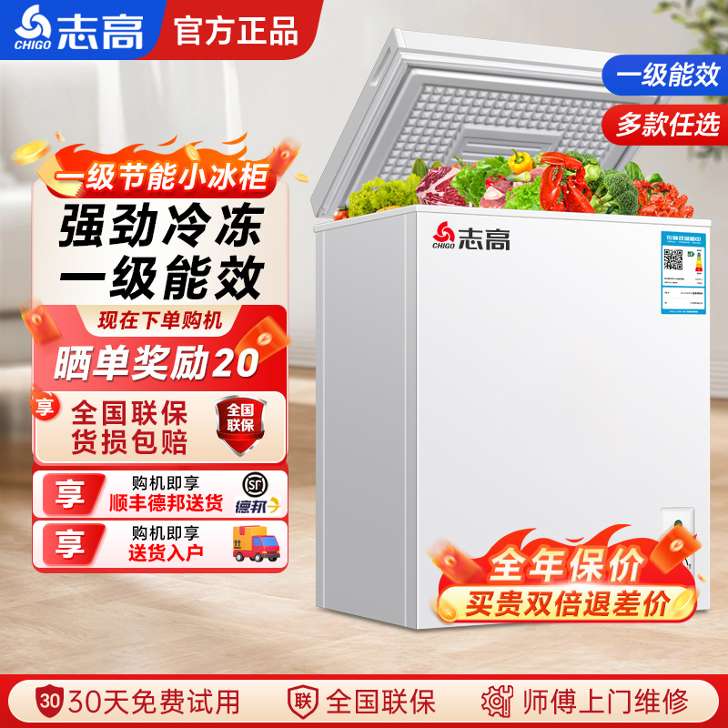 志高一级节能小冰柜家用冷冻