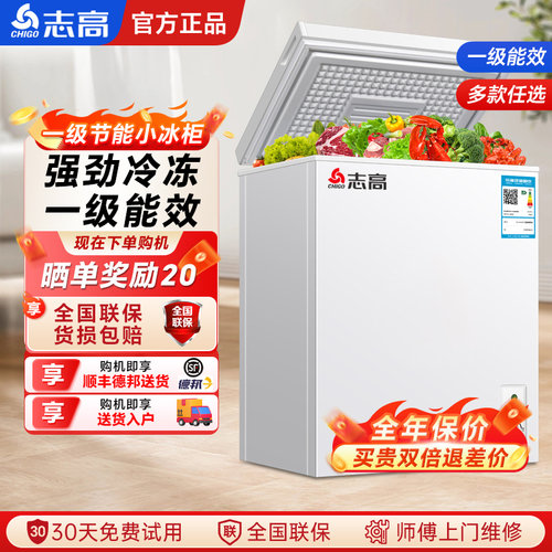 志高一级节能小冰柜家用冷冻