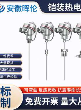 WRNK-131/231/336铠装热电偶k型探头温度传感器装配式探头可弯曲