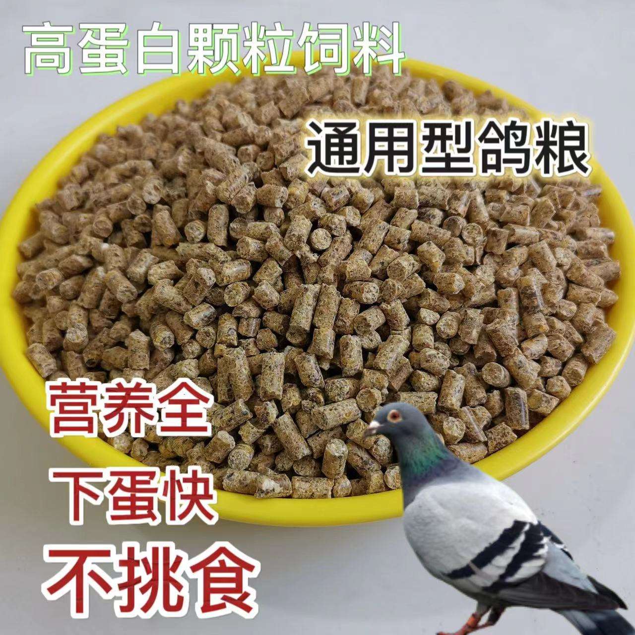 鸽粮鸽子饲料鸽子鸟食信鸽观赏鸽肉鸽幼成鸽粮饲料80斤颗粒鸽饲料