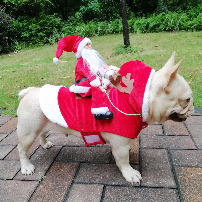 宠物新年衣服法斗狗狗衣服搞怪猫咪圣诞装大狗大型犬骑马变身装狗