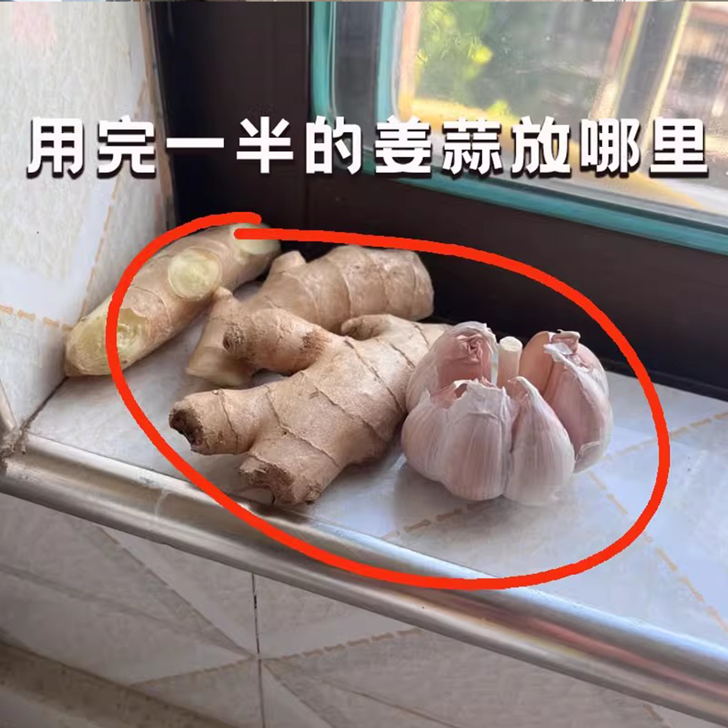 葱姜蒜免打孔吸盘壁挂生姜大蒜收纳盒厨房收纳神器架子其他收纳篮