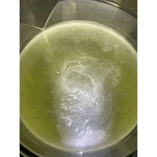 草履虫 洄水 金波子燕鱼斗鱼孔雀灯科鱼幼苗开口淡水轮虫