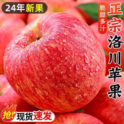 正宗陕西洛川苹果水果新鲜水果当季整箱红富士脆甜大平果10包邮斤