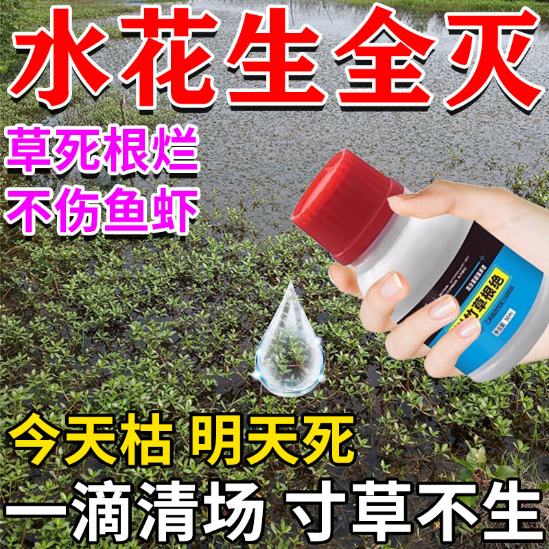 水花生克星烂根剂强力除草专用药鱼塘水池杂草一扫光芦苇烂根药