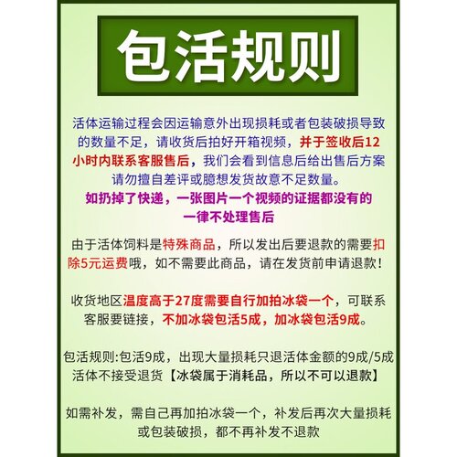 爬宠食物蟋蟀活体白蟋蟀蛐蛐蜥蜴守宫鬃狮蜘蛛蝎子粮食活食樱桃红