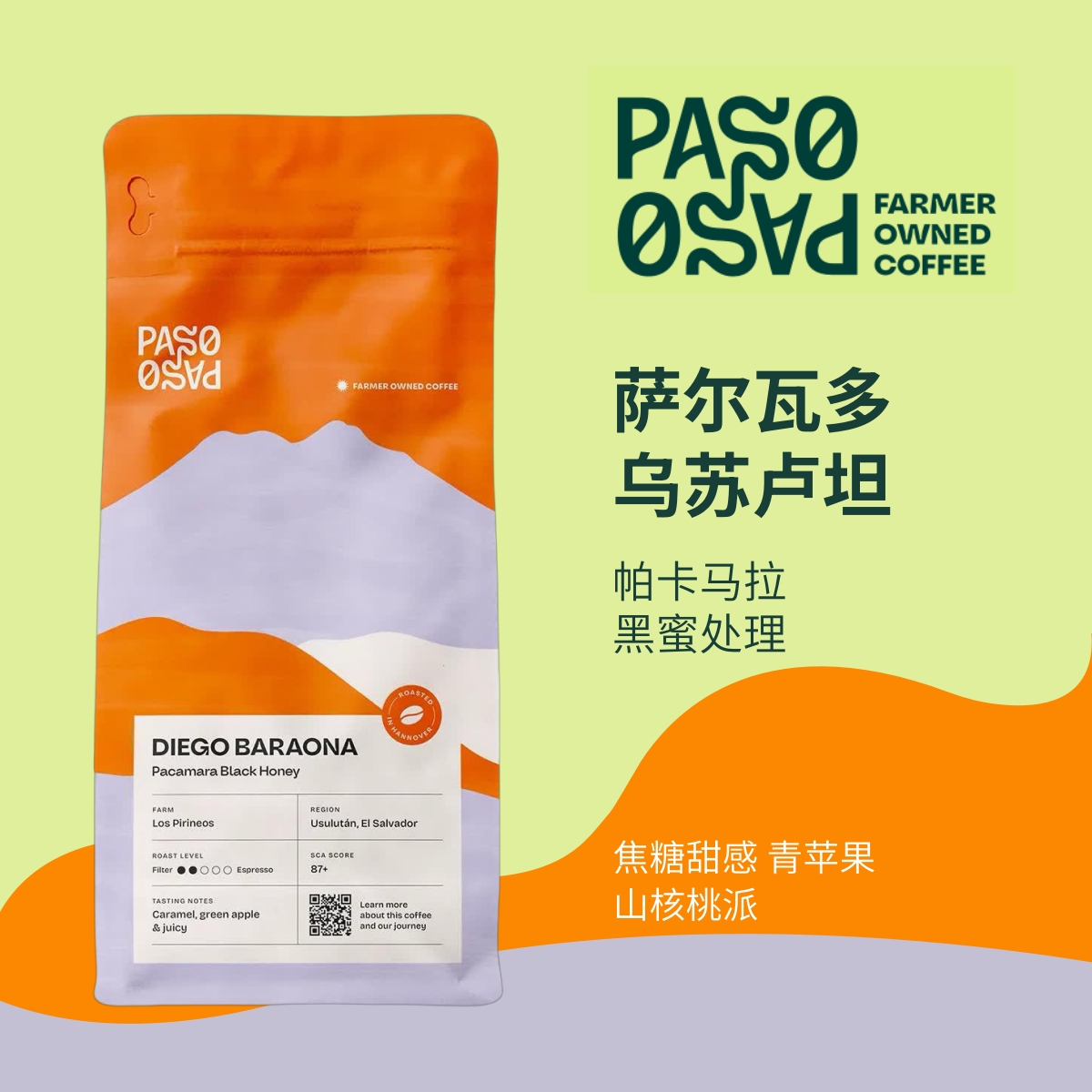 PasoPaso 萨尔瓦多 乌苏卢坦 帕卡马拉 黑蜜 浅烘250g