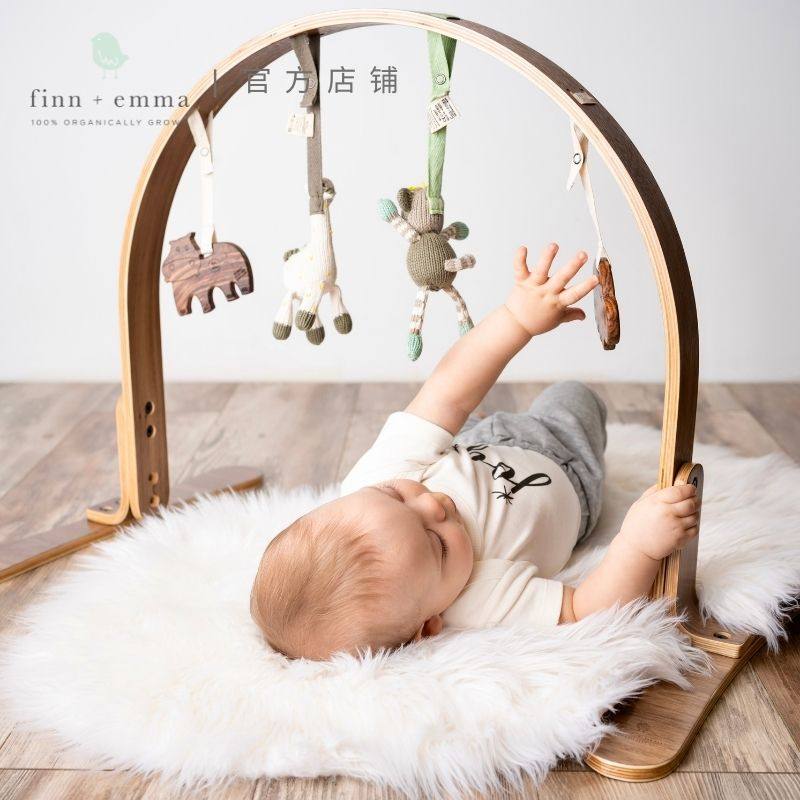 新生婴儿健身架益智玩具图片