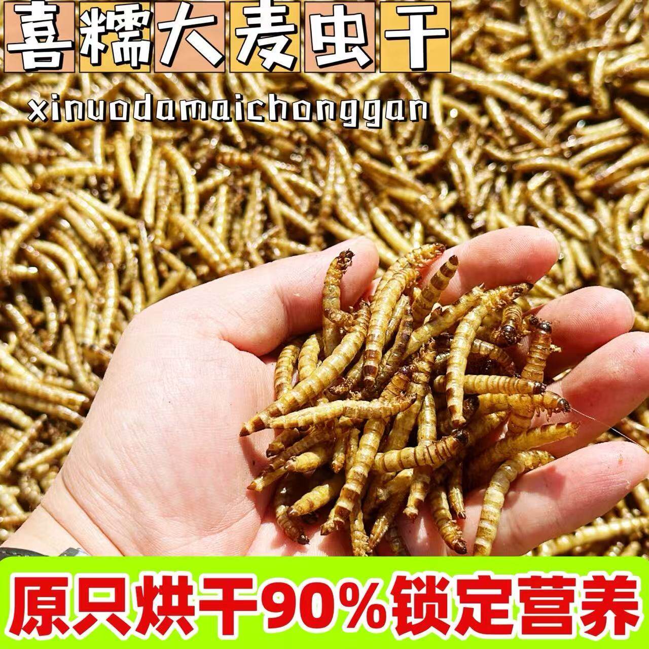 烘干大麦虫蛋白虫龙鱼饲料大面包虫干仓鼠龟罗汉血鹦鹉地图鱼粮食