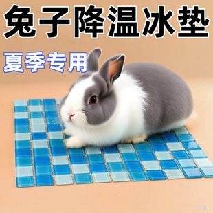 宠物兔子专用降温冰垫龙猫侏儒兔用品大全夏天降温消暑冰垫凉席垫