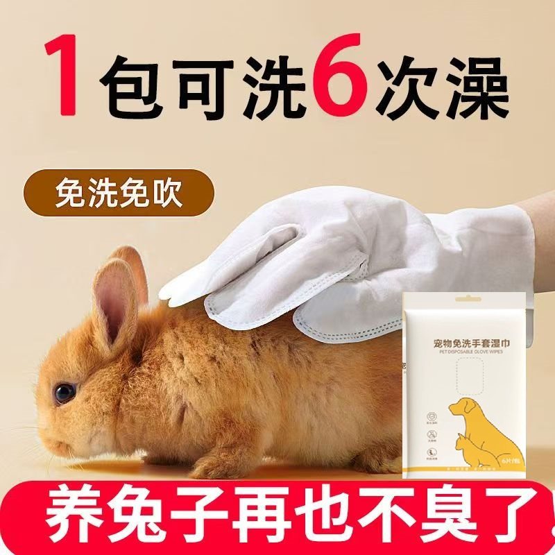 兔子专用洗澡清洁神器干洗粉用品手套宠物豚鼠侏儒养幼小兔兔湿巾,宠物/宠物食品及用品,兔兔其他,淘宝优惠券,粉丝福利购,淘宝优惠卷