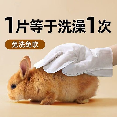 兔子猫狗洗澡清洁神器干洗粉用品手套宠物豚鼠侏儒养幼小兔兔湿巾