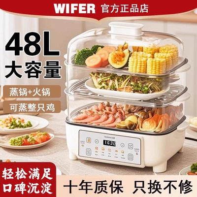 德国2025新款电蒸锅多功能家用三