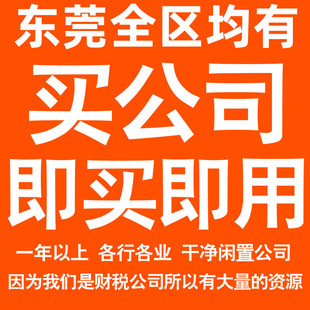 东莞一年以上信息咨询科技贸易实业劳务派遣公司转让法人股权变更