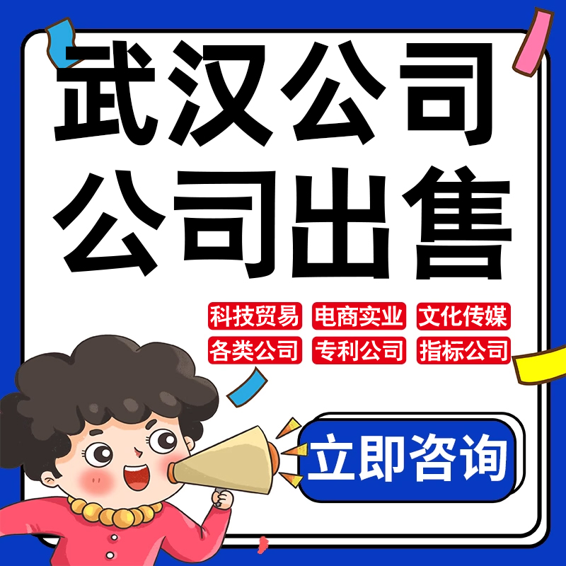 武汉公司股权转让收购买实业文化传媒建筑工程类公司营业执照注册