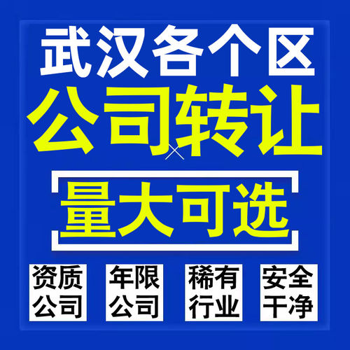 武汉公司股权转让收购买科技贸易教育传媒咨询类公司营业执照注册