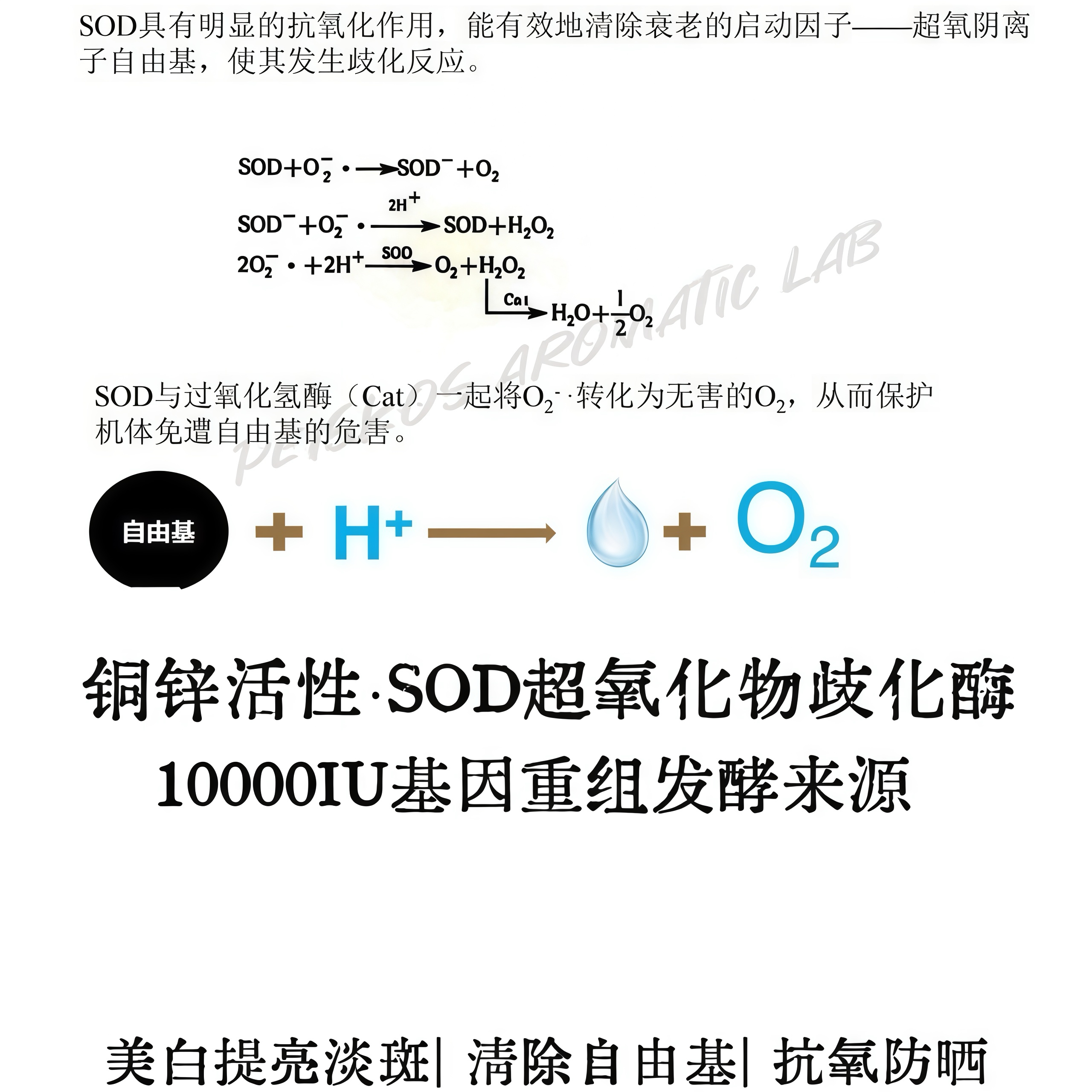 10000IU活性基因重组发酵铜锌SOD超氧化物歧化酶美白淡斑提亮精华