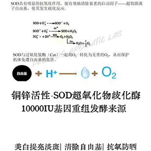 10000IU活性基因重组发酵铜锌SOD超氧化物歧化酶渼白淡斑提亮精华