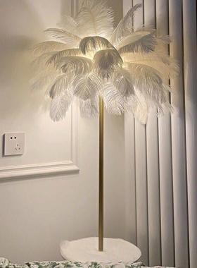 骆驼鸟羽落地灯斯堪的纳咖维客厅沙发卧室毛网红啡桌47131与货亚