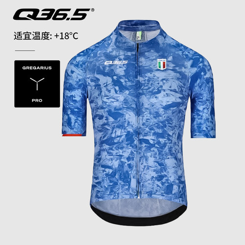 Q36.5骑行服夏季男款短袖