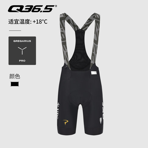 Q36.5-PINARELLO车队骑行短裤新
