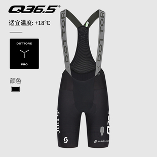 Q36.5车队版骑行裤男款夏季Dottore PRO Q36.5 ProCyclingTeam