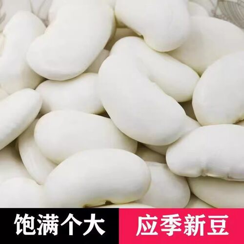 云南白云豆大颗粒干货批发杂粮500g新货大芸豆大豆大白豆无硫雪豆
