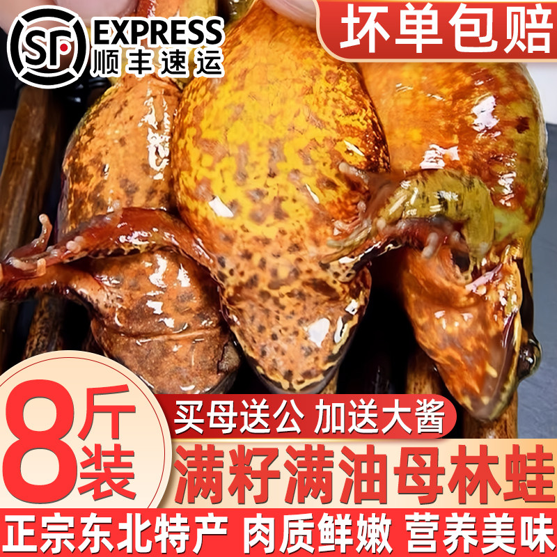 正宗母林蛙东北母豹子纯公纯母速冻雪蛤黄肚皮满油满籽蛤蟆速冻
