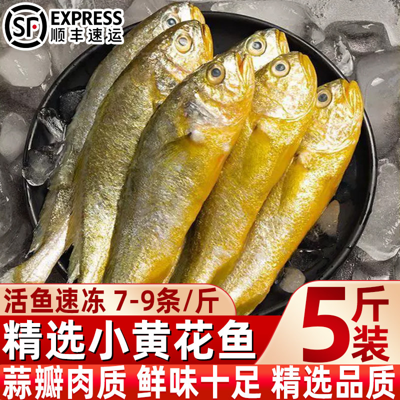 正宗小黄花鱼新鲜冷冻小黄鱼生鲜水产海鲜小黄鱼整箱商用批发顺丰