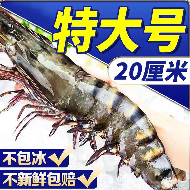 黑虎虾鲜活冷冻超大虾老虎虾