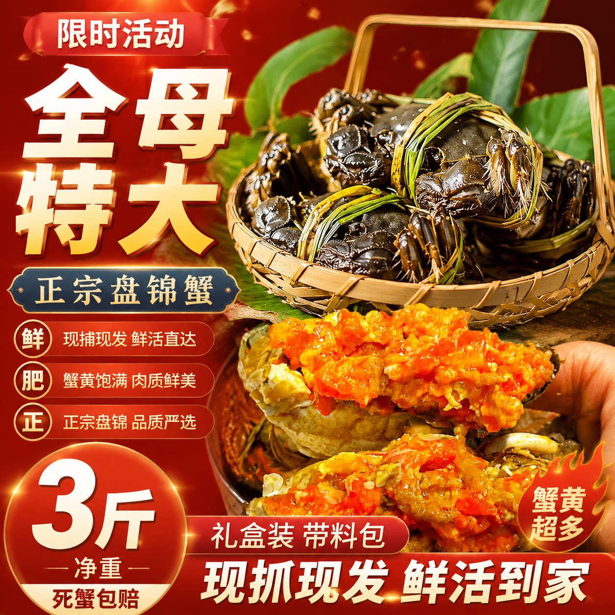 正宗盘锦河蟹鲜活特大闸蟹