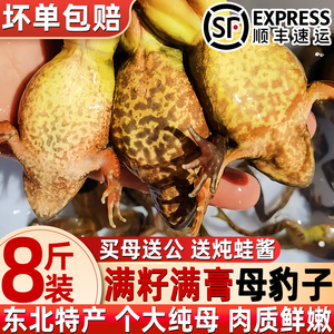 东北林蛙当季新货顺丰冷冻