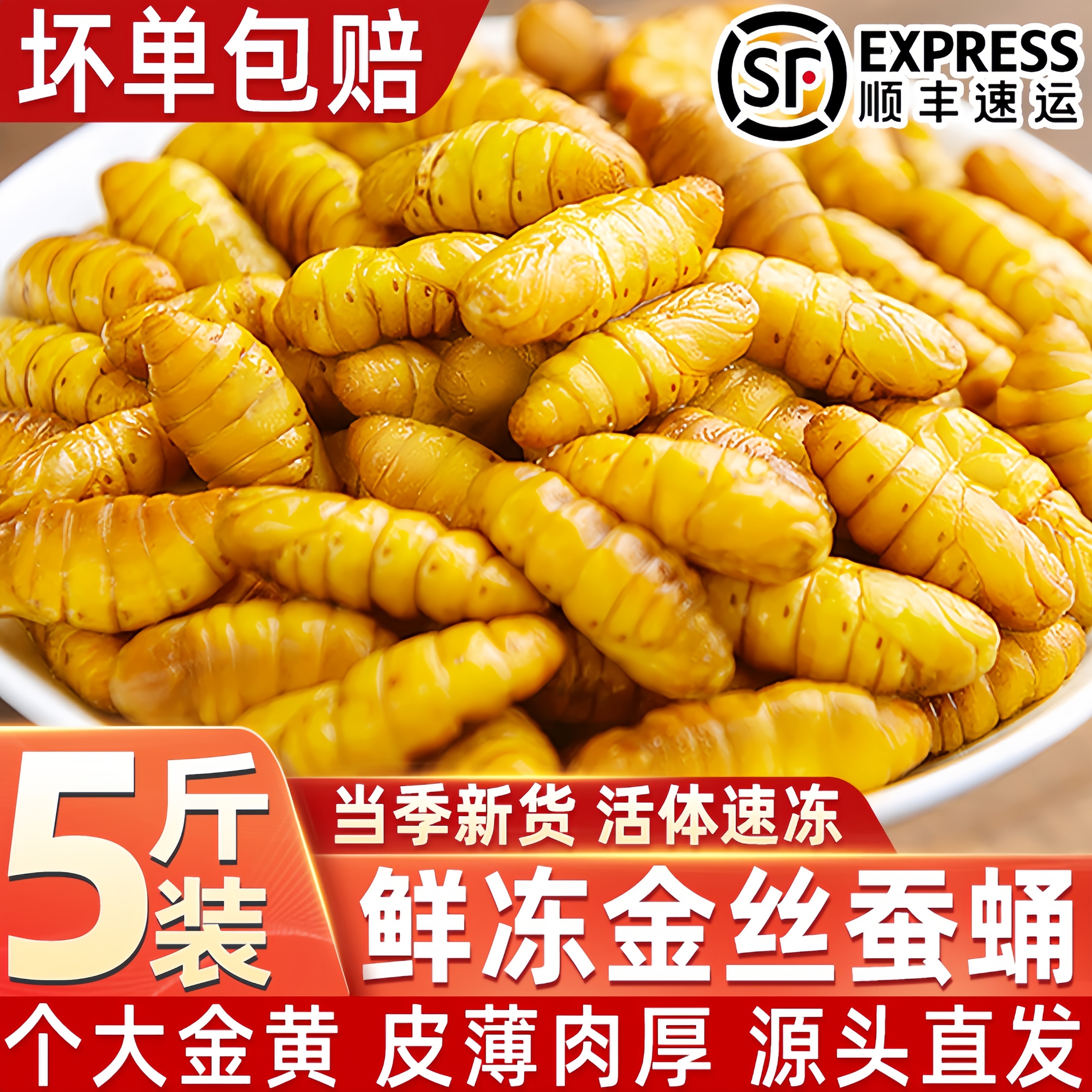 金丝蚕蛹鲜活新鲜冷冻无盐山东特产黄金蚕蛹小桑蚕蛹商用烧烤顺丰