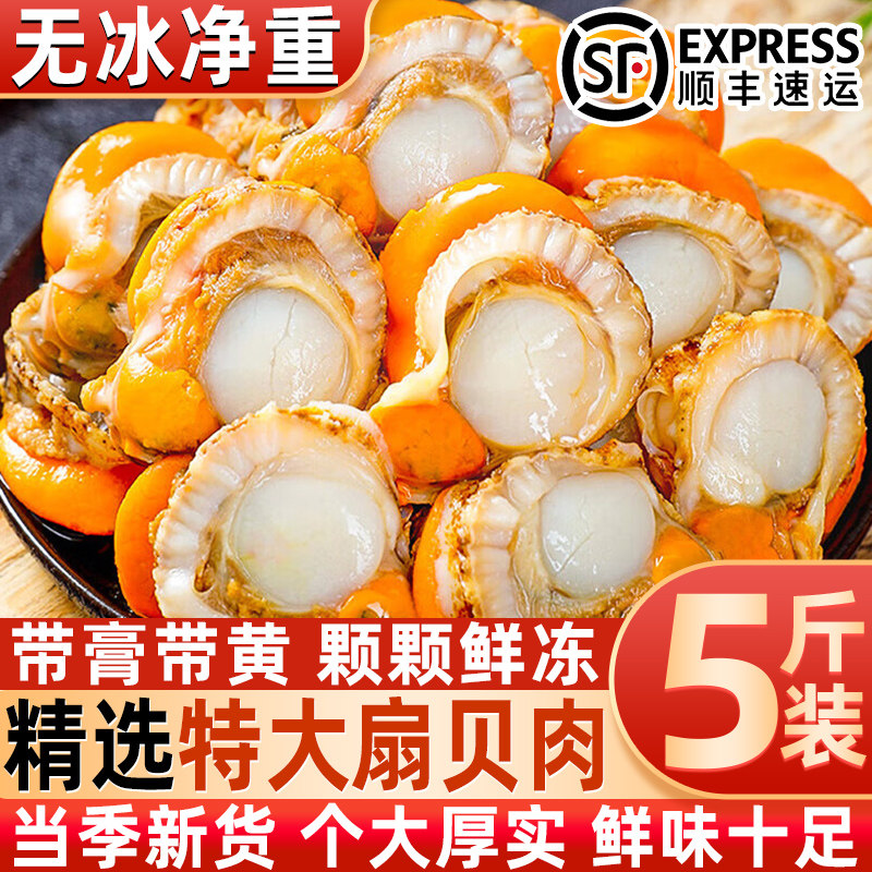 现剥冷冻野生特大扇贝肉整箱